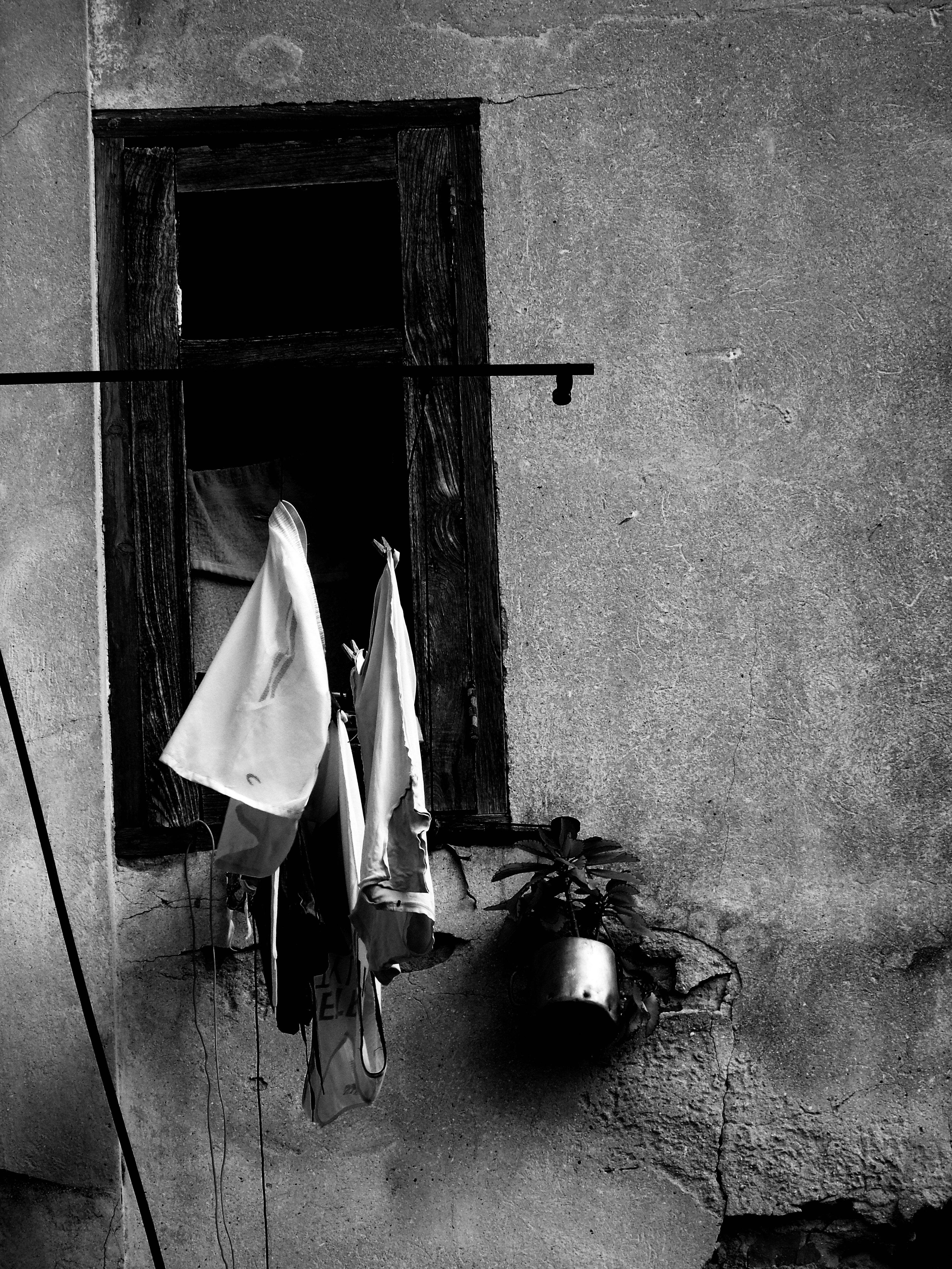 Fotomural Escena urbana clásica con una ventana, ropa tendida y una planta en blanco y negro.