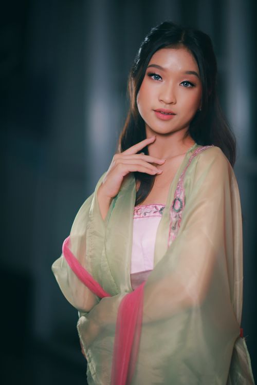 Free Elegant portrait of a woman wearing traditional clothing with soft lighting and a graceful pose. Stock Photo