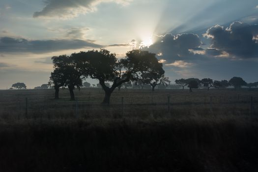 Dramatic sunrise with sun rays illuminating the scenic countryside, highlighting silhouetted trees and clouds.