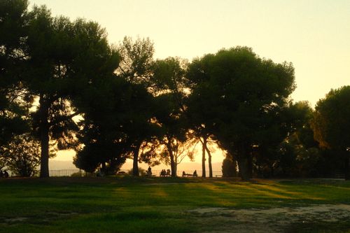 Free Peaceful park scene in Nice, France with silhouetted trees and people at sunset. Stock Photo