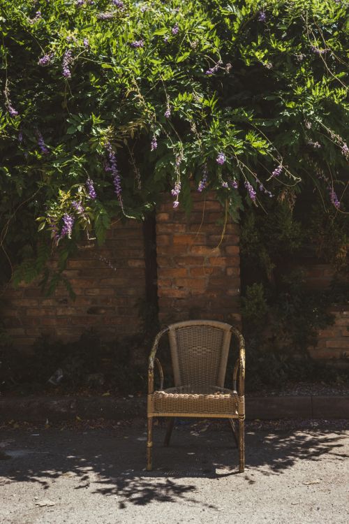Free A wicker chair sits against a brick wall adorned with green and purple blossoms, creating a serene outdoor setting. Stock Photo