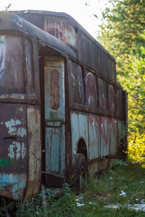 Free Sunlit abandoned bus with graffiti in a forest setting, overgrown with greenery. Stock Photo