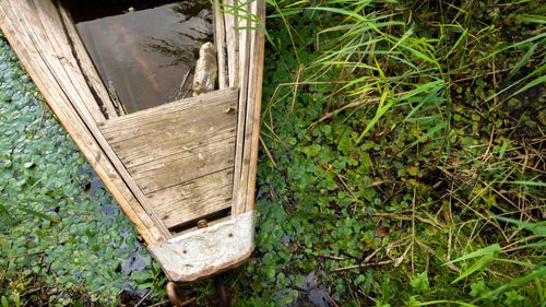 Free Top-down view of an old wooden boat surrounded by lush greenery in a marsh. Stock Photo