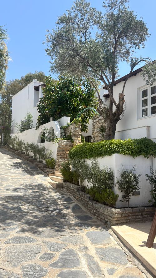 Free A serene Mediterranean street with lush greenery and traditional white architecture in Bodrum, Turkey. Stock Photo