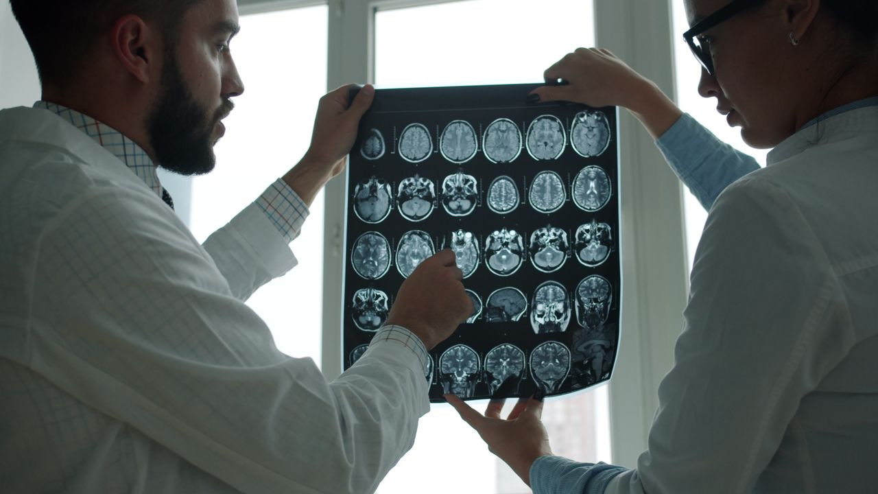 Study Finds Adding Neurons Continues to Improve Visual Signal Processing