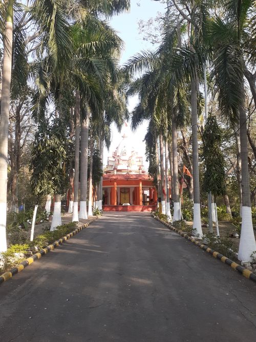 Free Serene view of a tree-lined path leading to a temple with a clear sky. Stock Photo