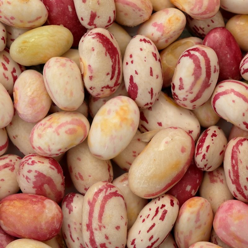 Slow Cooker Borlotti Beans with Rosemary, Garlic and White Wine