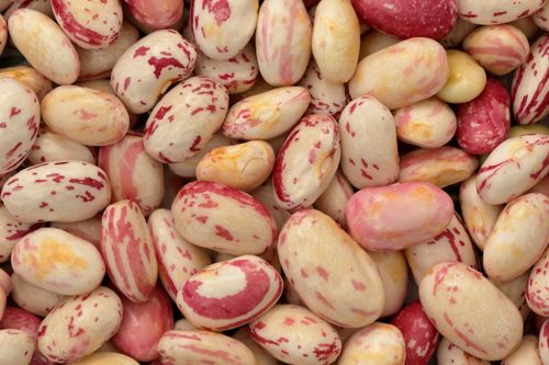 Free A detailed close-up image showcasing vibrant borlotti beans with red streaks on white. Stock Photo