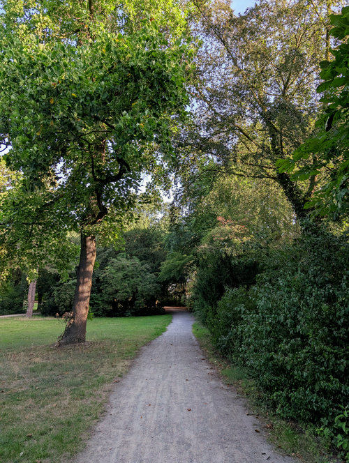 Free Serene pathway surrounded by lush trees and greenery in a quiet park setting. Stock Photo