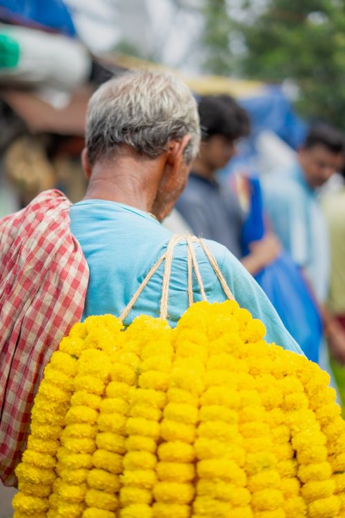 Free An elderly vendor carries bright yellow marigold garlands in a bustling Kolkata market. Stock Photo