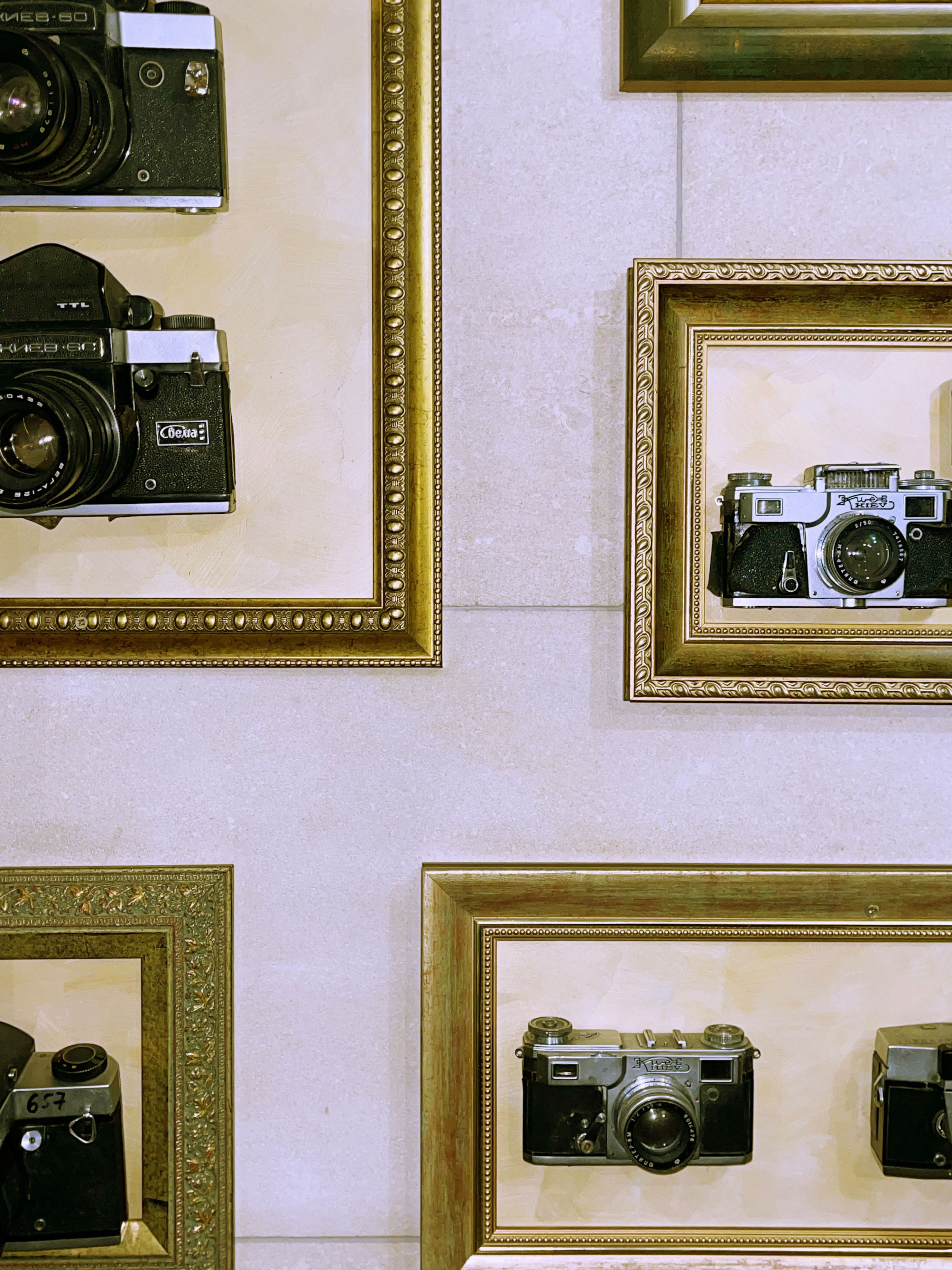 Collection of vintage cameras elegantly framed against a neutral background.