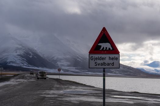 Polar bear zodiac sighting — Svalbard