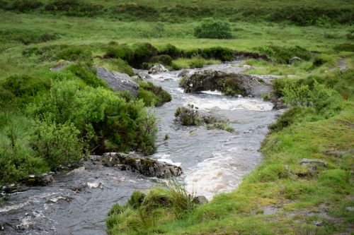 Free A peaceful stream winds through verdant landscape with lush green vegetation. Stock Photo