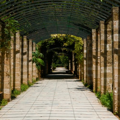 Free A sunlit stone and iron pergola pathway surrounded by lush greenery in summer. Stock Photo
