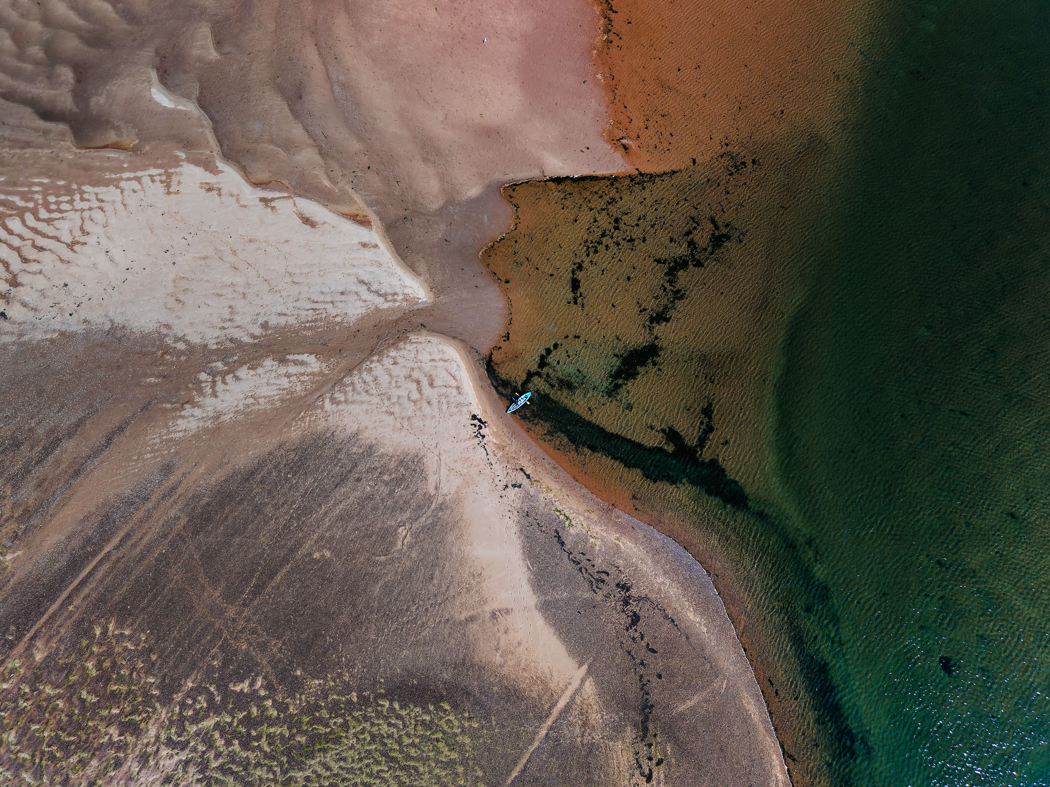 Reserva Natural de Bahía Blanca Estuary & Plaza Almirante Brown