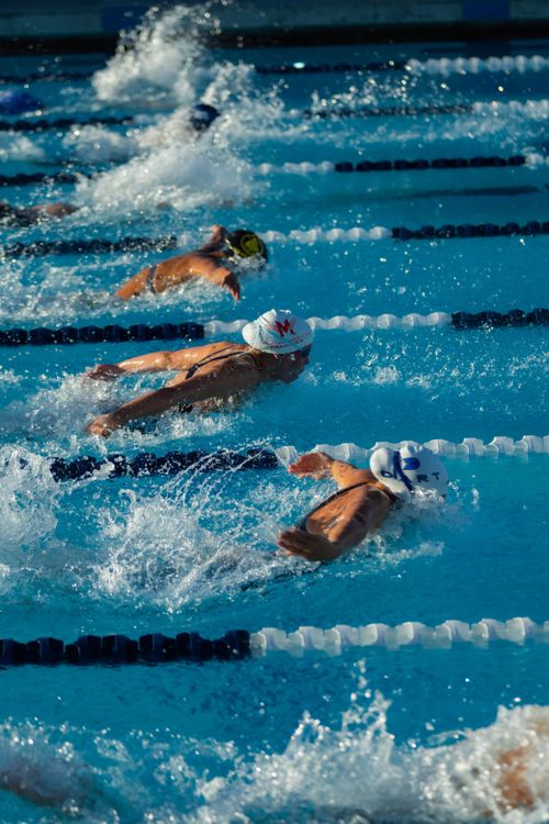 Free Swimmers in action during a competitive outdoor swimming race with blue lanes and splashing water. Stock Photo
