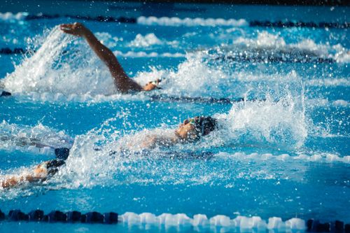 Free Swimmers compete in a swimming race, showcasing athletic skill in an outdoor pool setting. Stock Photo