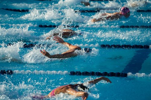 Free A group of swimmers intensely competing in a bright blue outdoor swimming pool. Stock Photo