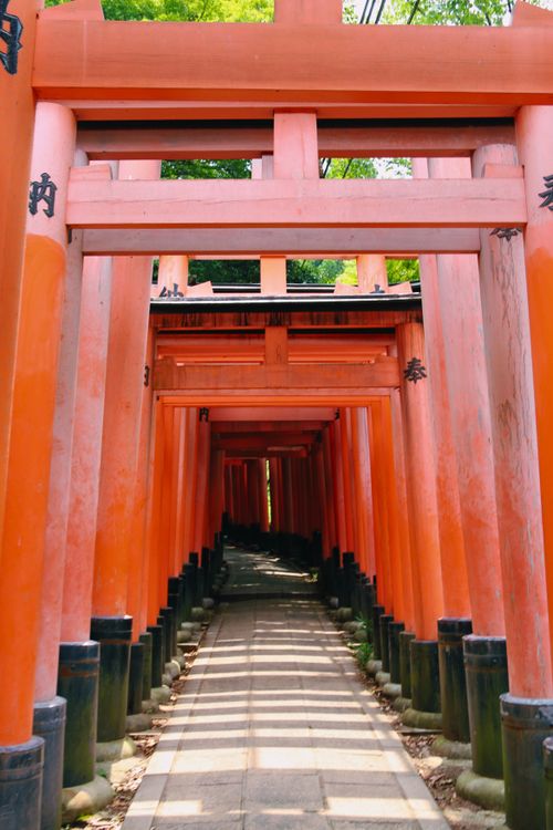 Free Discover the iconic Torii gate pathway at Fushimi Inari Shrine in Kyoto, Japan's cultural heart. Stock Photo