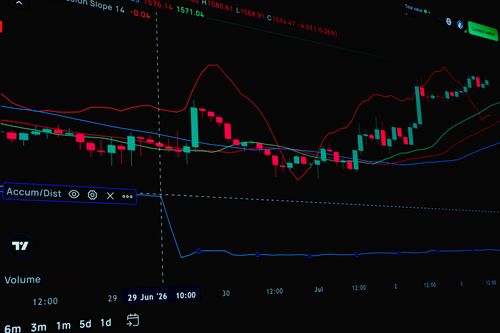 Free Detailed stock market chart showing candlestick patterns and indicators. Stock Photo