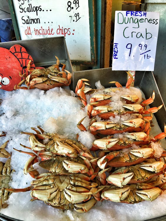Free stock photo of crab, dungeness crab, fish market