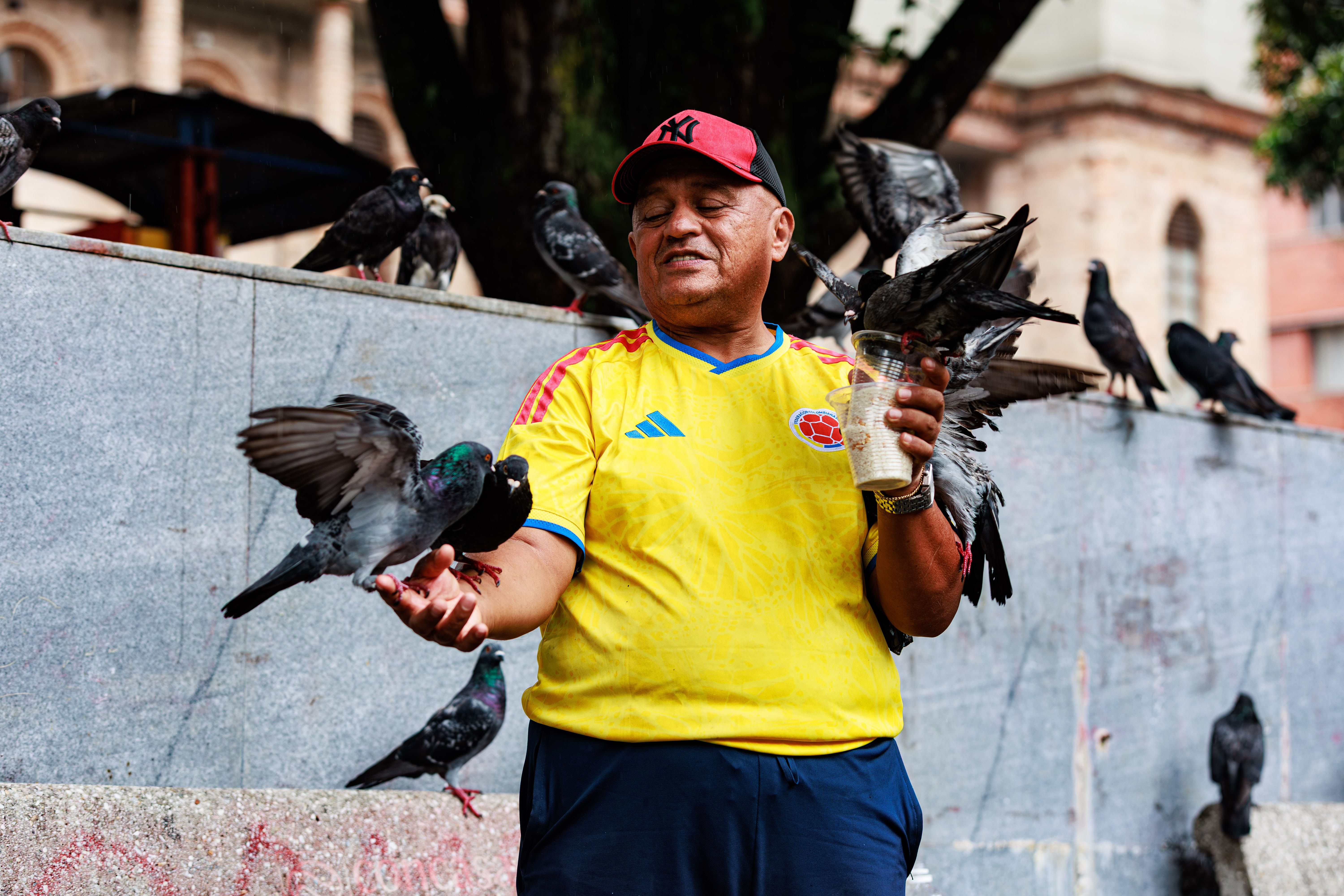 Landmarks in Pereira