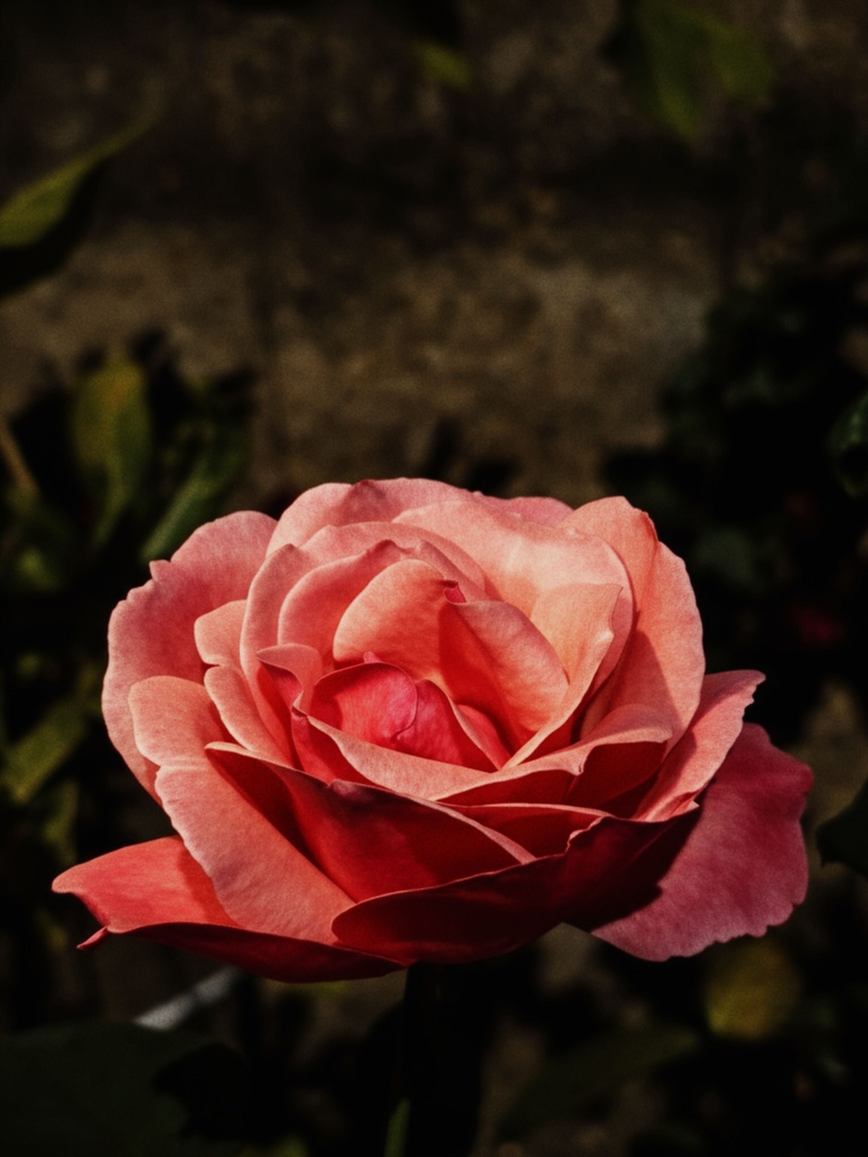 Fotomural Fotolia