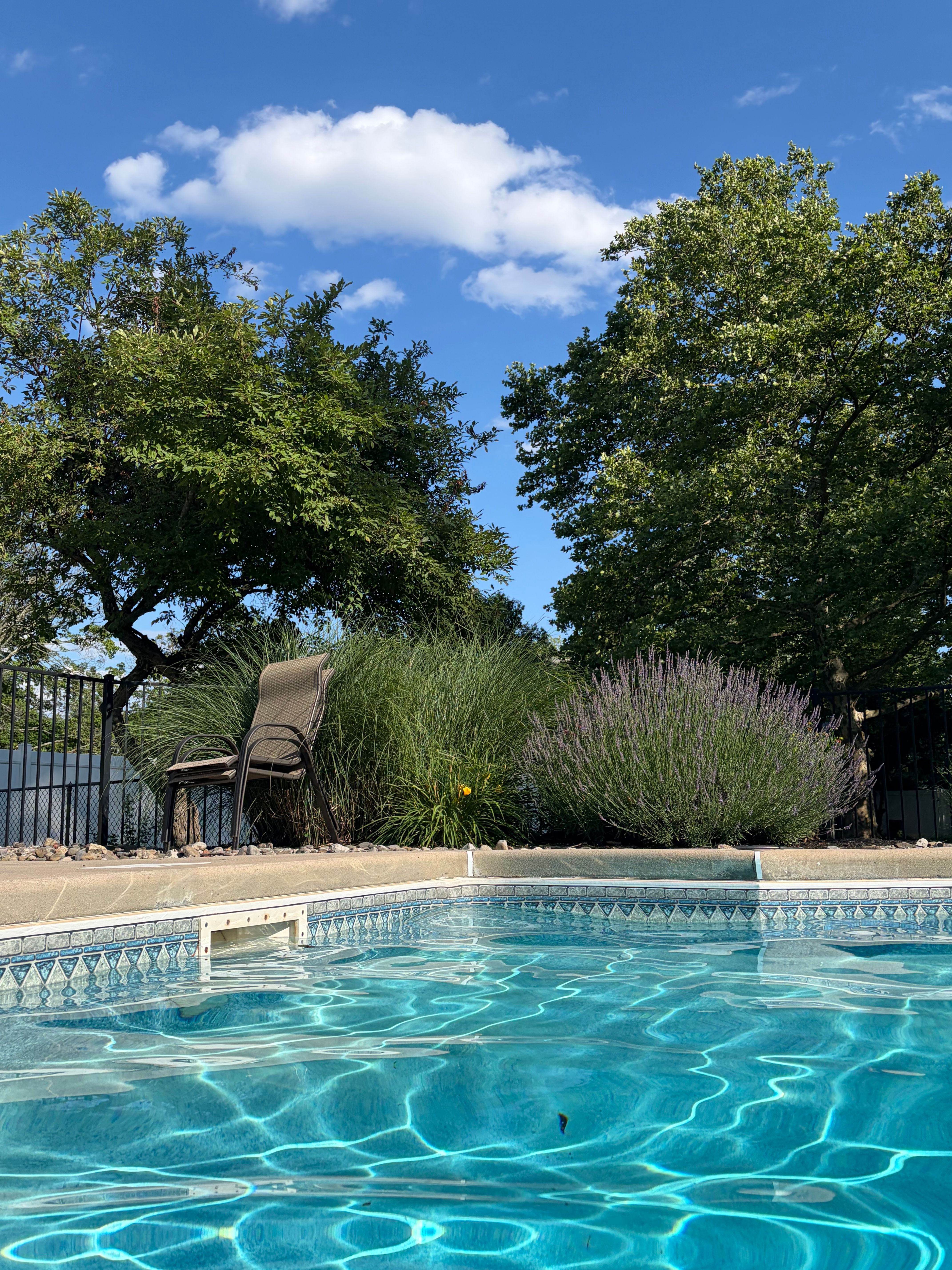 Piscina residencial com água limpa cercada de vegetação em dia de sol, exemplo de piscina com gerador de cloro