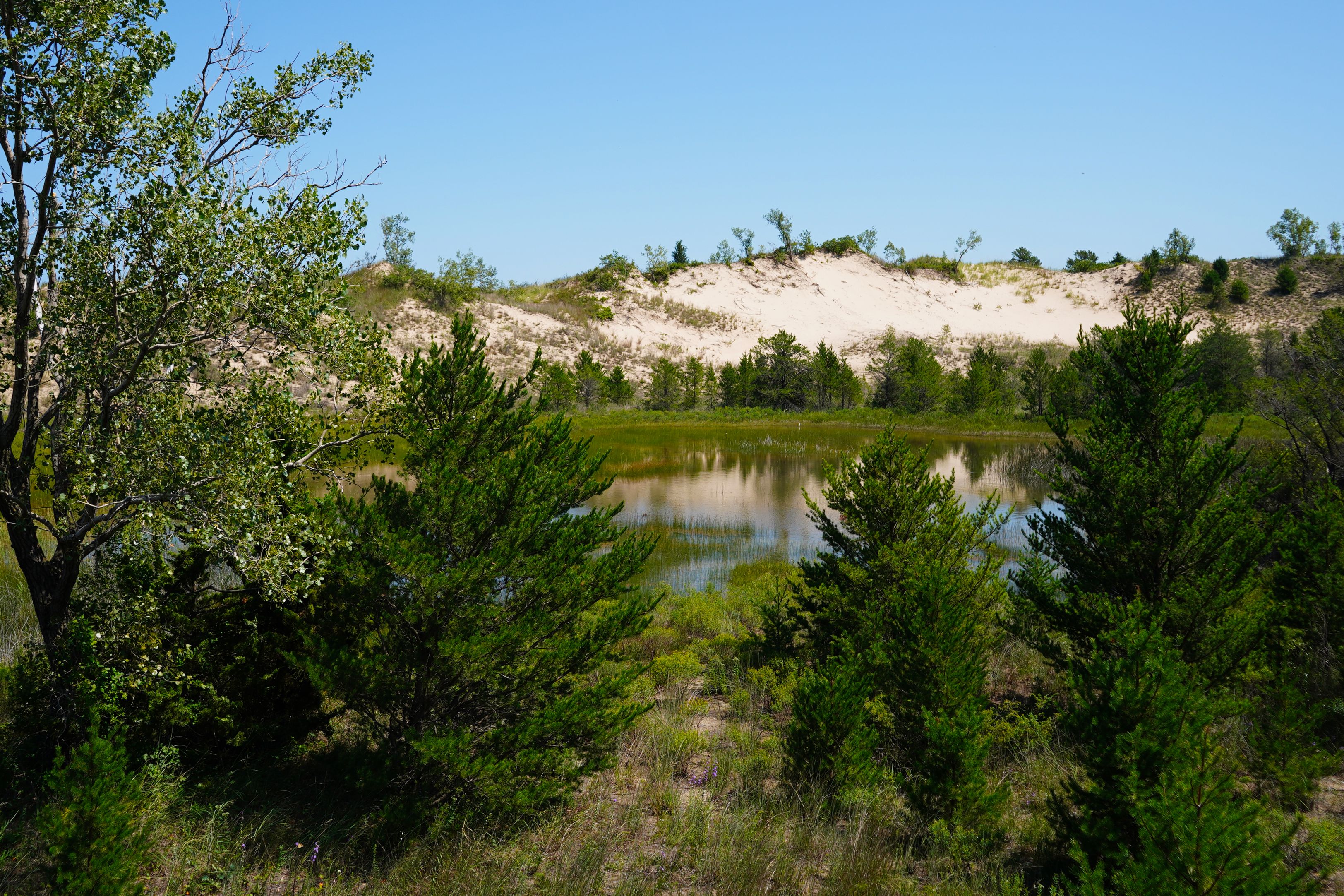 Rep. Green: Help coming for more than 60 Michigan outdoor recreation projects — Photo by Bruno Storchi Bergmann on Pexels