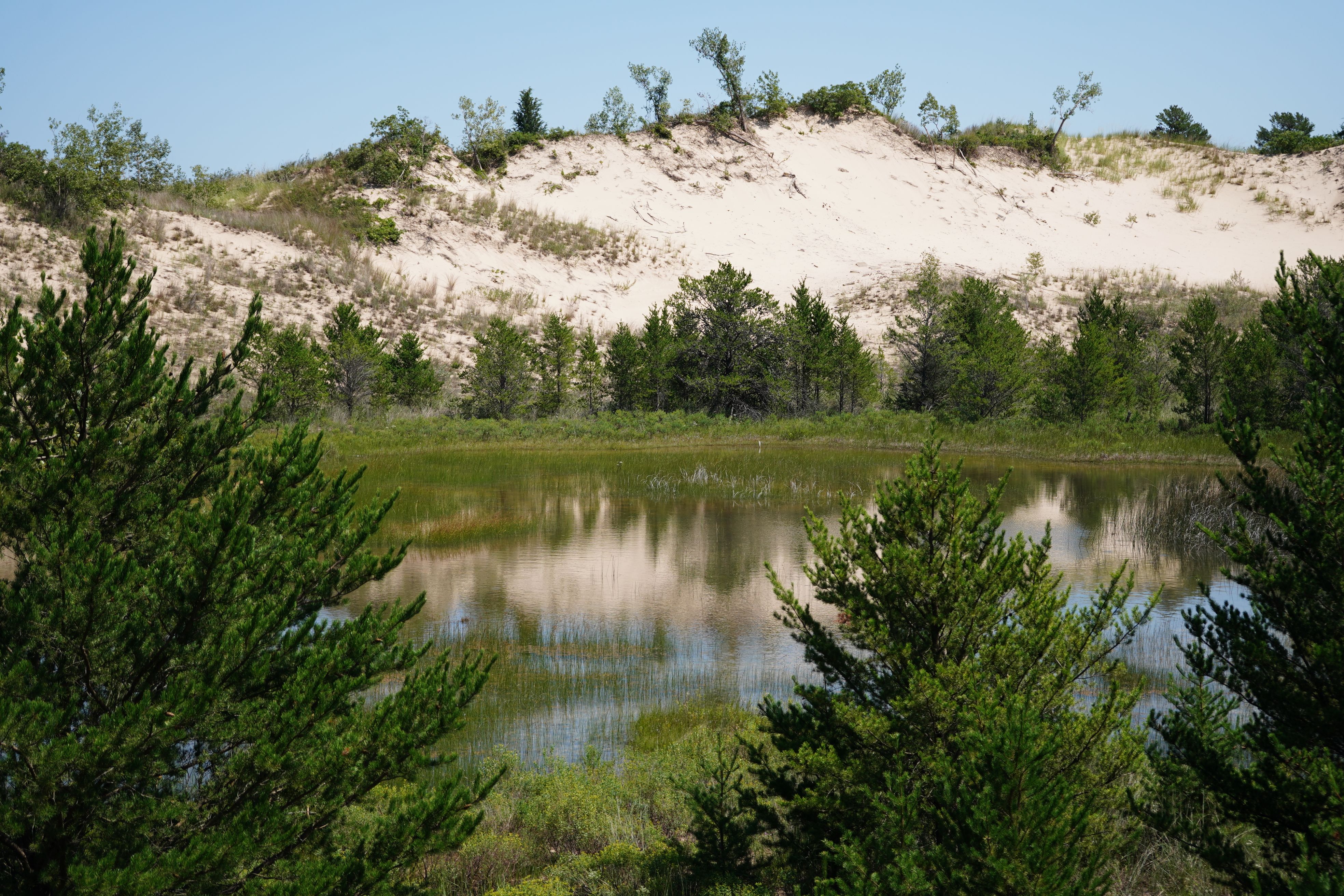 How to find fresh water on the Cooloola Coast