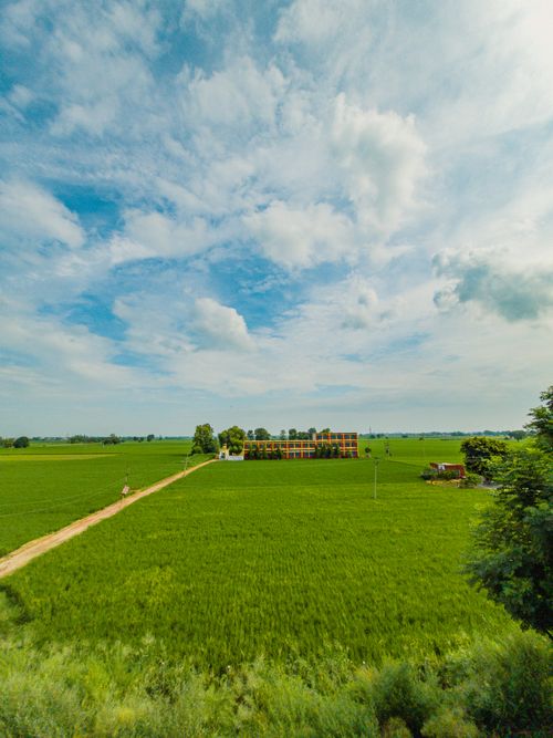 Free Scenic view of lush green fields under a cloudy sky in Ludhiana, Punjab. Stock Photo