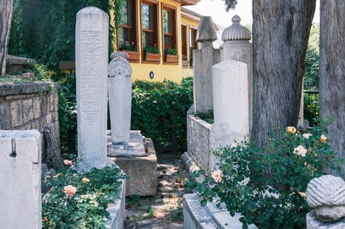 Free Ancient tombstones amidst greenery in a serene historic cemetery setting. Stock Photo