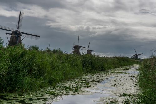 Free Traditional Dutch windmills along a canal in Kinderdijk, Netherlands, on an overcast day. Stock Photo