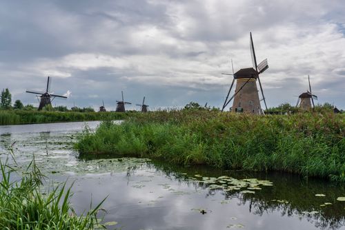Free Historic windmills at Kinderdijk reflected in a serene waterway under a cloudy sky. Stock Photo