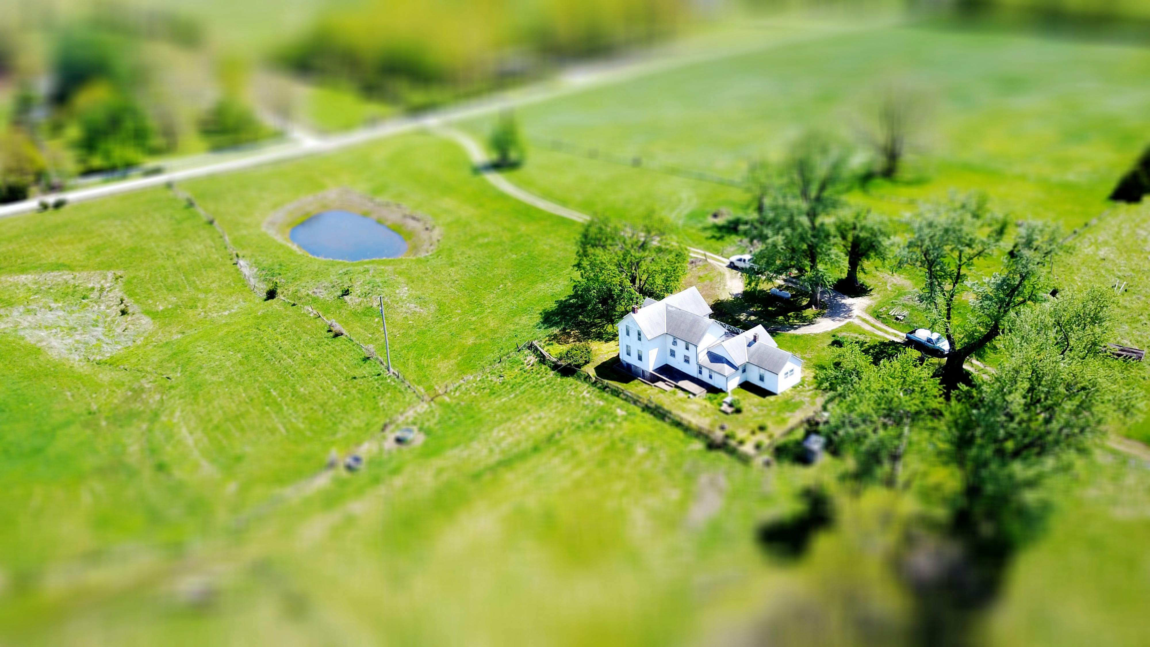 A crossroads with multiple signs pointing in different directions, symbolizing the confusion of the post-truth era.