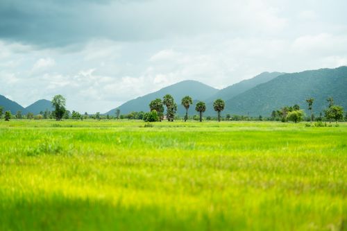 Free Serene landscape featuring green fields and distant mountains under a cloudy sky. Stock Photo