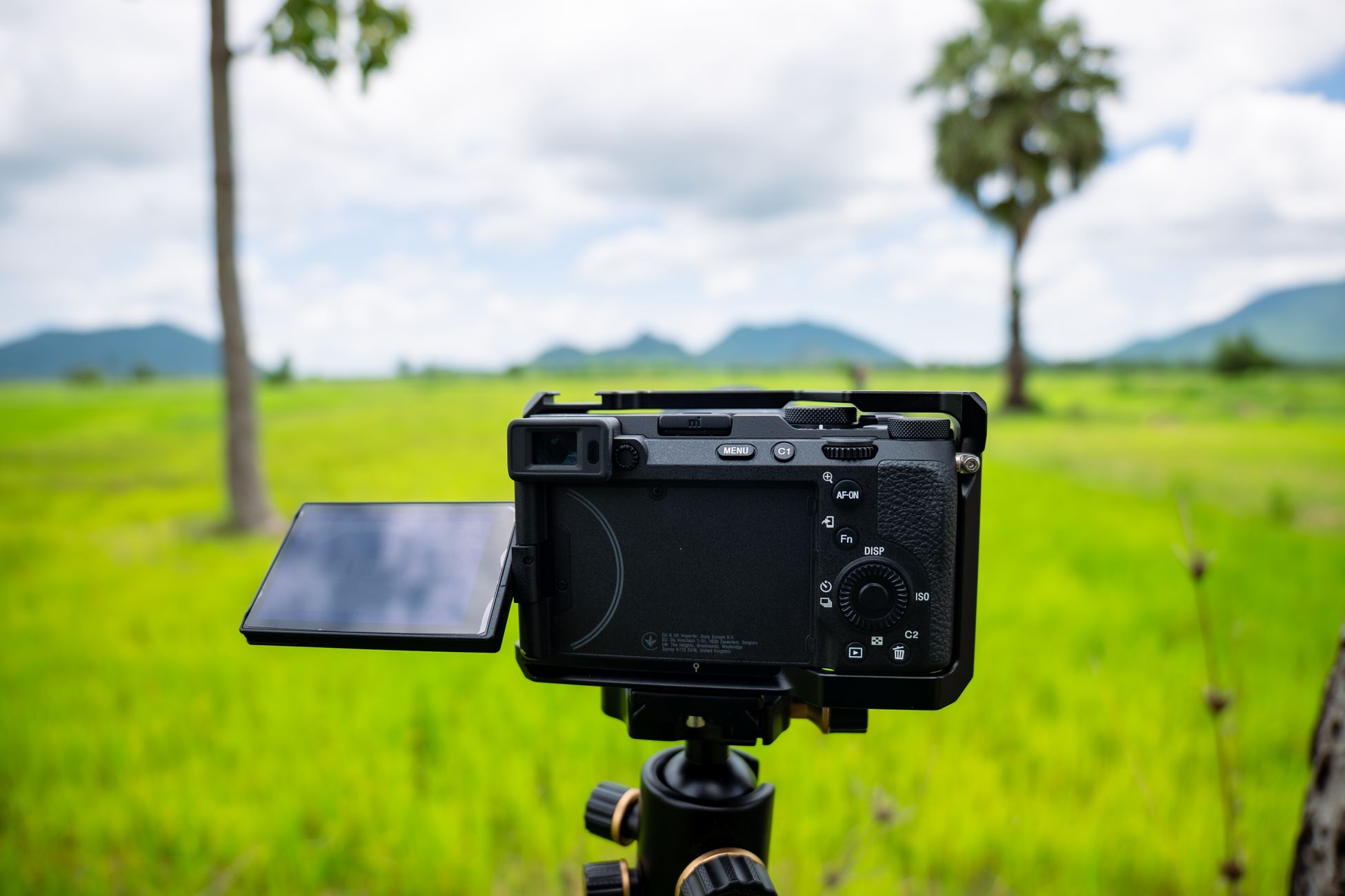 A digital camera on a tripod capturing a lush green field under a cloudy sky.