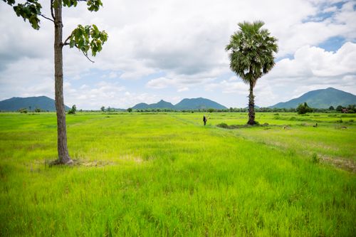 Free A tranquil scene featuring lush green fields, trees, and distant mountains under a cloudy sky. Stock Photo