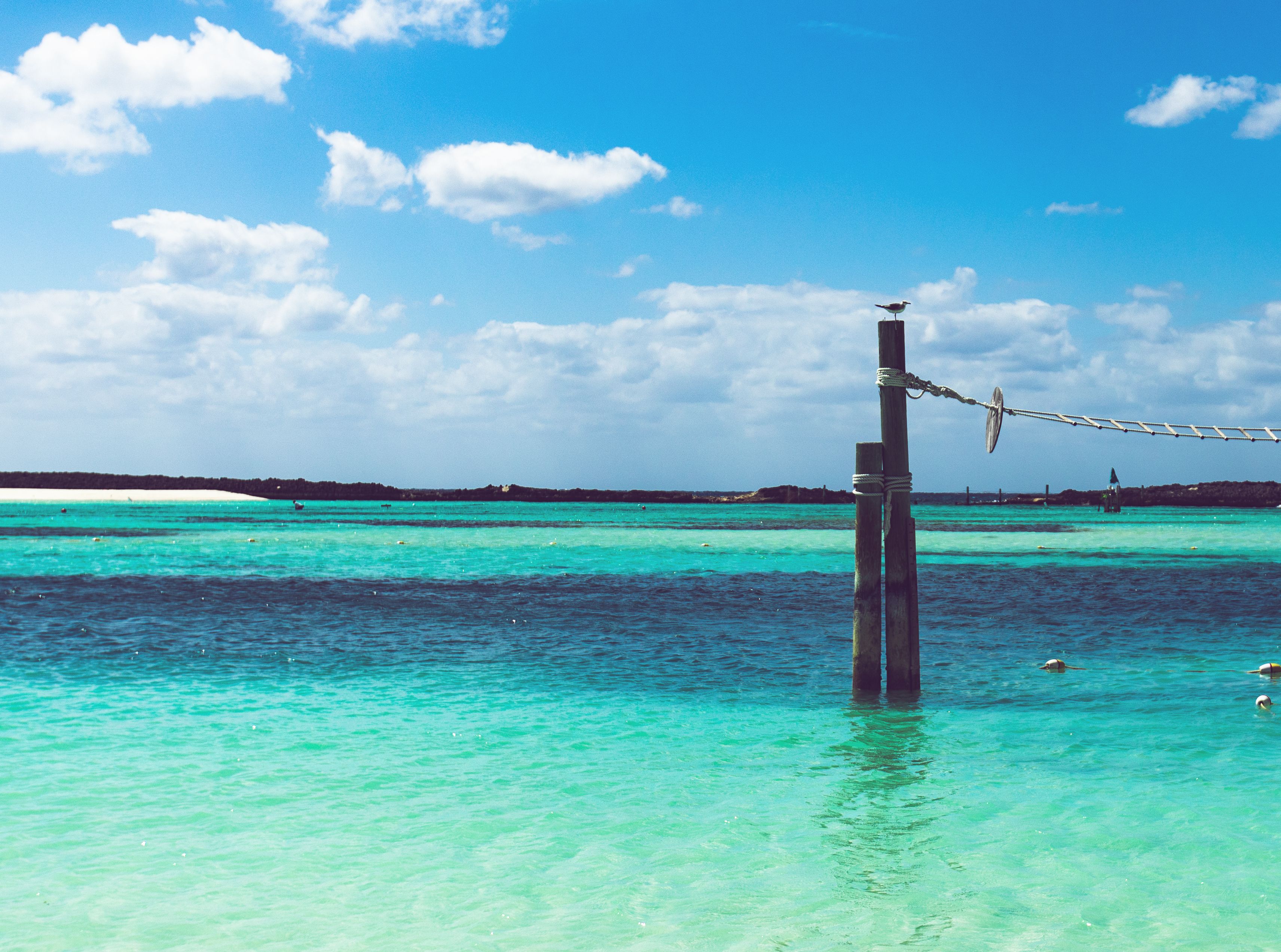 Vacation‑Themed Social Posts via Canva Templates