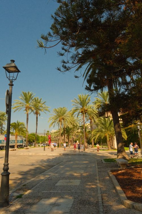 Free A sunny promenade with palm trees and walkway, creating a vibrant atmosphere. Stock Photo