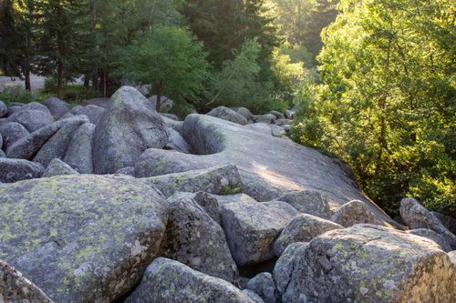 Free Sunlit forest with large rocks and lush greenery, creating a tranquil natural scene. Stock Photo
