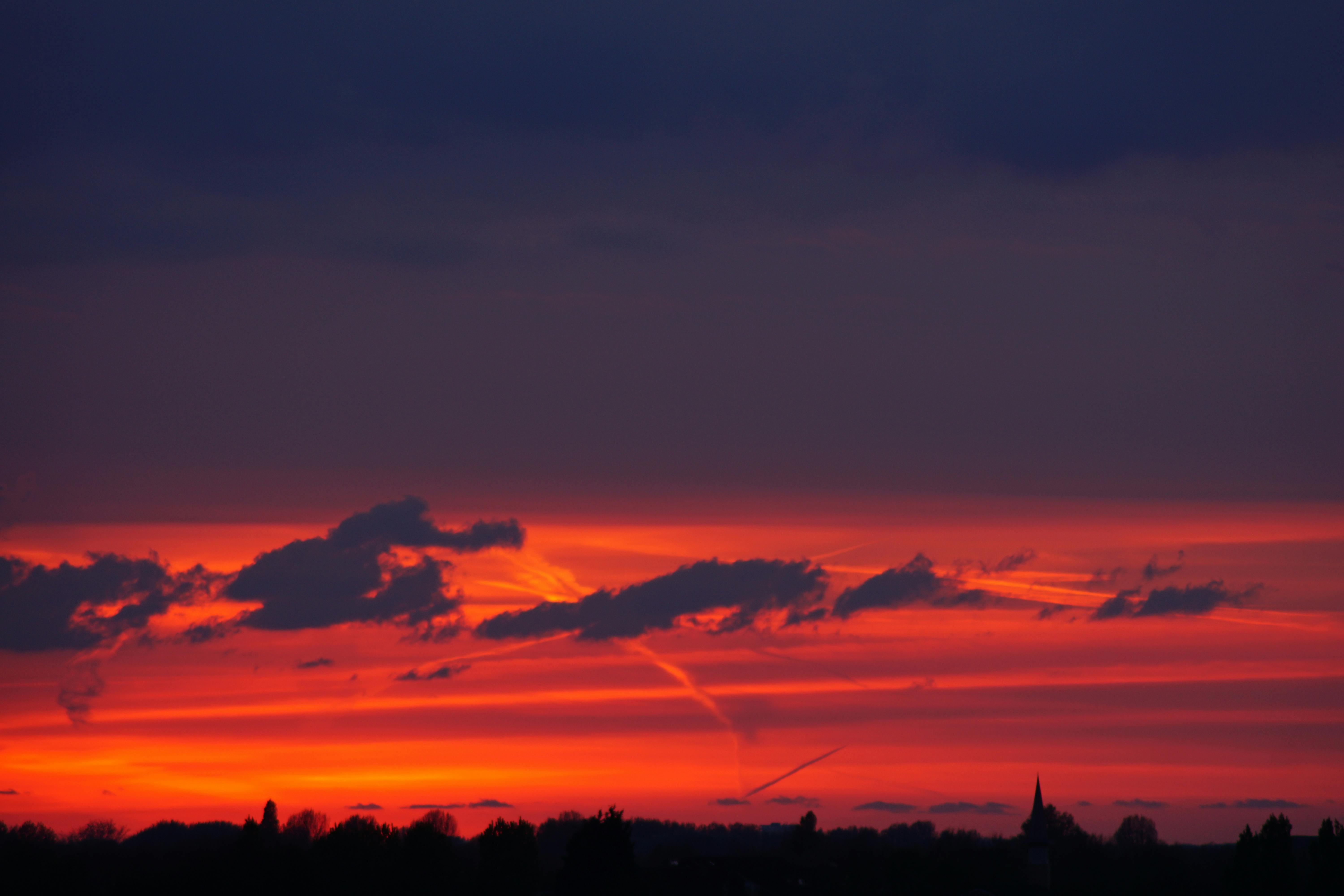 日落令人惊叹，生动的橙色与剪影交织，营造出戏剧性的晚间景致