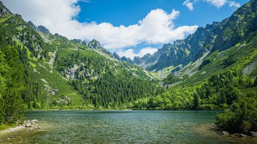 Free Breathtaking view of a serene lake nestled in Slovakia's lush green mountains under a clear blue sky. Stock Photo