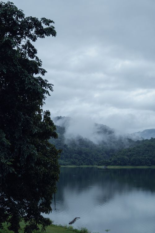 Free Captivating view of mist over lush greenery and lake in Pariyaram, Kerala, India. Stock Photo