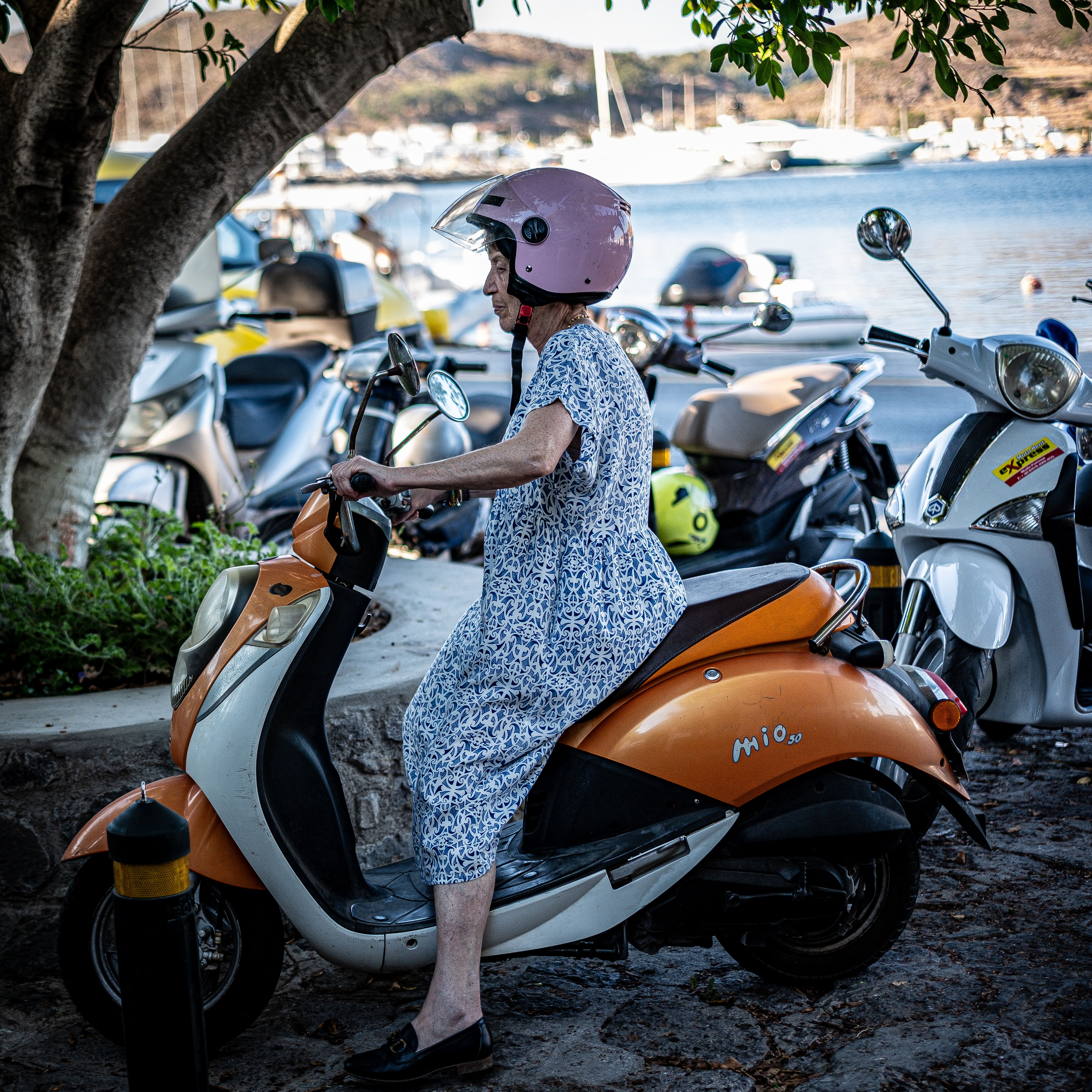 Mobility scooter