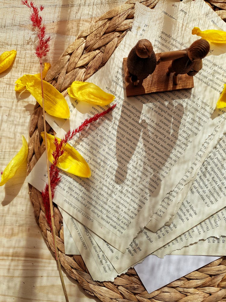 Statuettes And Petals On Torn Pages