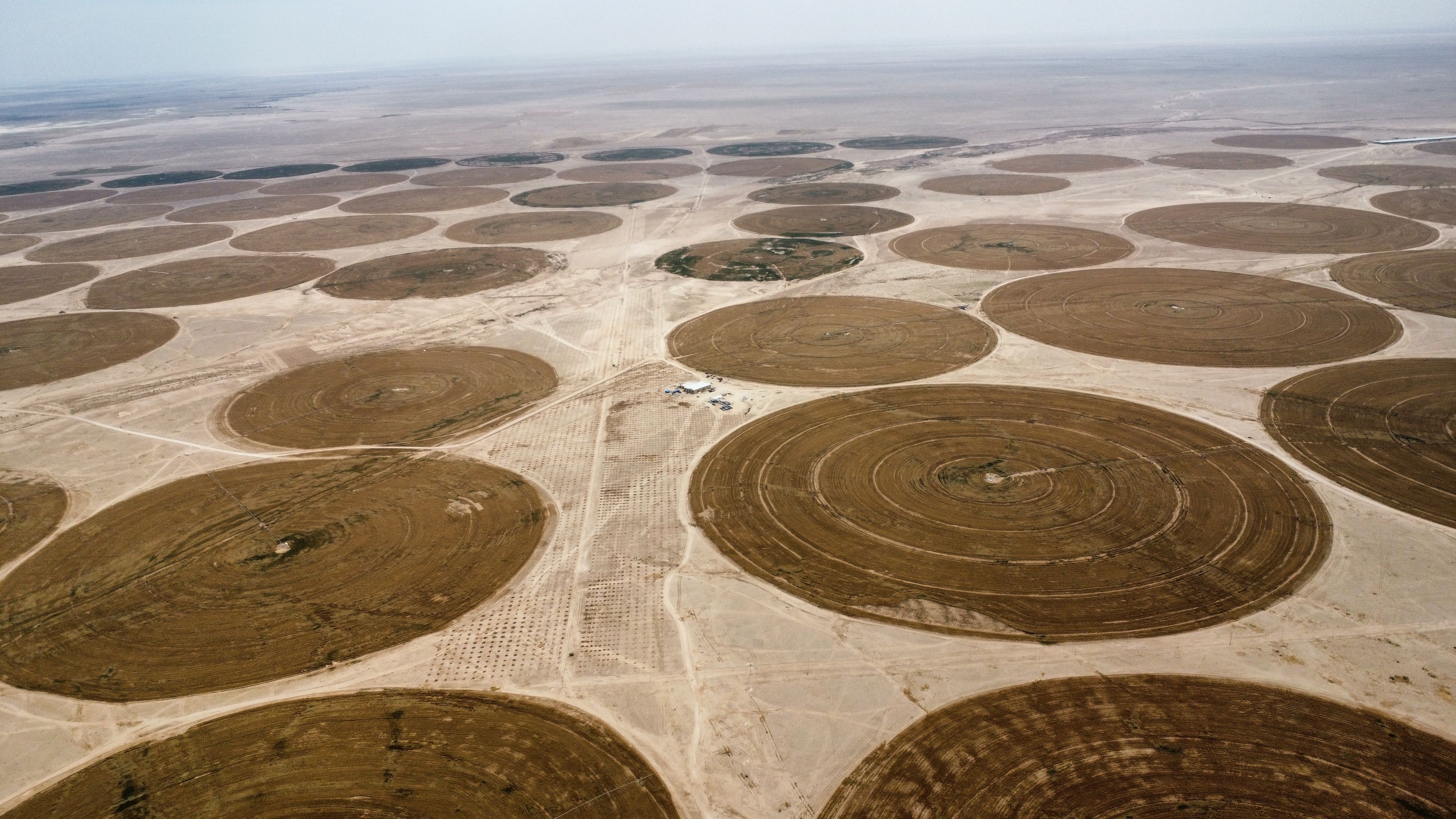 Aerial shot of circular irrigation patterns in an arid desert landscape.