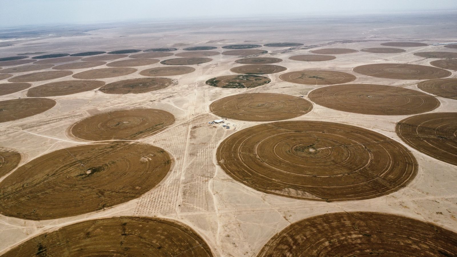 Aerial shot of circular irrigation patterns in an arid desert landscape.