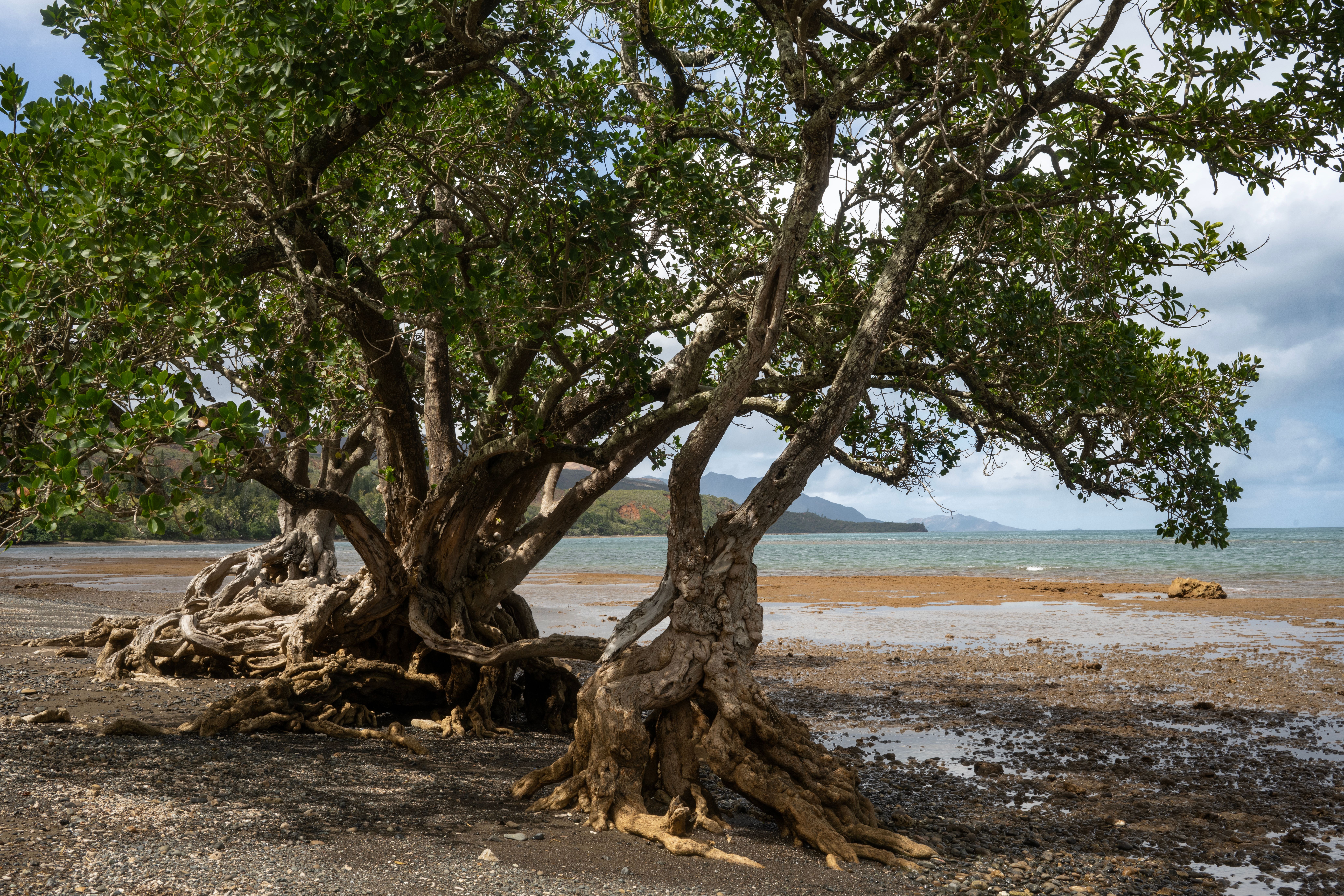 Landmarks in New Caledonia
