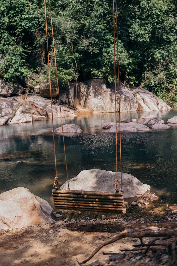 Swing On Calm Lake Shore